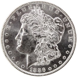 Random Pre-1921 Morgan Silver Dollar in Almost Uncirculated - Brilliant Uncirculated Condition Random Pre-1921 Morgan Silver Dollar in Almost Uncirculated - Brilliant Uncirculated Condition