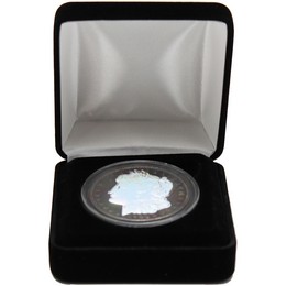1921 Morgan Silver Dollar Holonight Edition 1921 Morgan Silver Dollar Holonight Edition