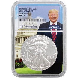 2023 W Burnished Silver Eagle NGC MS70 ER Trump Core 2023 W Burnished Silver Eagle NGC MS70 ER Trump Core