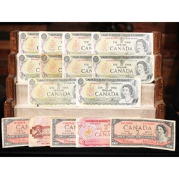 3-2-2026 Deal of the Day! 3-2-2026 Deal of the Day!