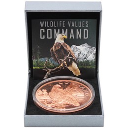 2026 100 Francs Cameroon Wildlife Value Series 5oz Copper High Relief North American Bald Eagle Command Coin OGP 2026 100 Francs Cameroon Wildlife Value Series 5oz Copper High Relief North American Bald Eagle Command Coin OGP