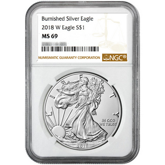 2018 W Burnished Silver Eagle NGC MS69 Brown Label